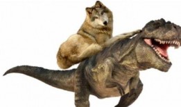 最新爆料恐龙妹妹是谁,恐龙妹妹真实身份，最新爆料引发热议！